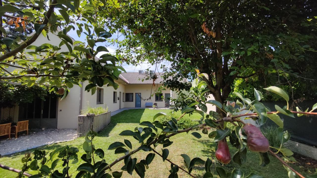 Sabines Apartments Ferienwohnungen Frauenkirchen Εξωτερικό φωτογραφία