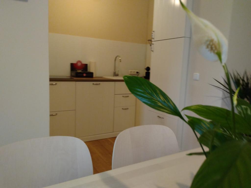 Sabines Apartments Ferienwohnungen Frauenkirchen Εξωτερικό φωτογραφία
