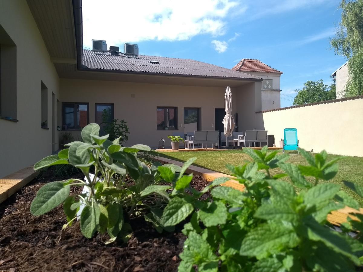 Sabines Apartments Ferienwohnungen Frauenkirchen Εξωτερικό φωτογραφία